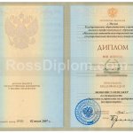 диплом высшее 2004-2009